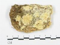 登錄號:F0013944藏品圖，第1張