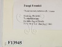 登錄號:F0013945藏品圖，第2張