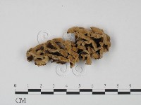 登錄號:F0013945藏品圖，第1張