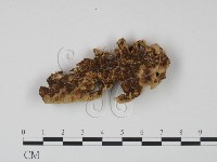 登錄號:F0013945藏品圖，第3張