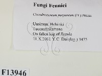 登錄號:F0013946藏品圖，第2張