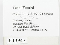 登錄號:F0013947藏品圖，第2張
