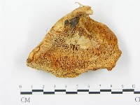 登錄號:F0013947藏品圖，第1張