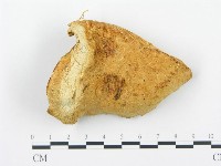登錄號:F0013947藏品圖，第3張