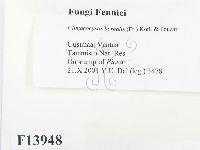 登錄號:F0013948藏品圖，第2張