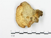 登錄號:F0013948藏品圖，第3張