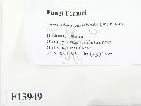 登錄號:F0013949藏品圖，第2張
