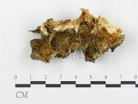 登錄號:F0013949藏品圖，第3張