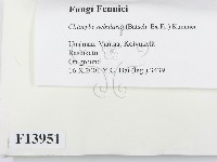 登錄號:F0013951藏品圖，第2張