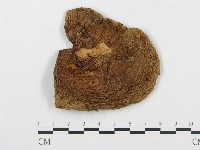 登錄號:F0013951藏品圖，第1張