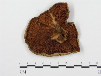 登錄號:F0013951藏品圖，第3張