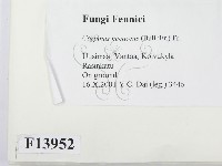 登錄號:F0013952藏品圖，第2張