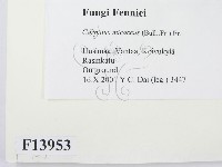 登錄號:F0013953藏品圖，第2張