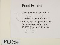 登錄號:F0013954藏品圖，第2張