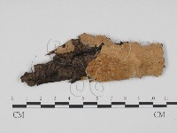 登錄號:F0013954藏品圖，第1張