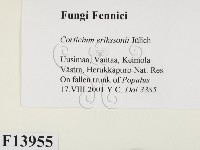 登錄號:F0013955藏品圖，第2張