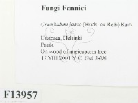 登錄號:F0013957藏品圖，第2張