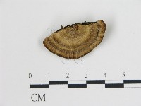 登錄號:F0013958藏品圖，第3張