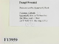 登錄號:F0013959藏品圖，第2張