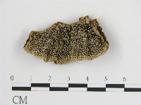 登錄號:F0013959藏品圖，第1張