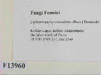 登錄號:F0013960藏品圖，第2張