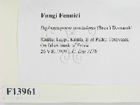 登錄號:F0013961藏品圖，第2張