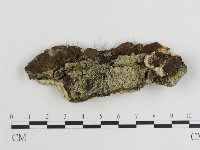 登錄號:F0013962藏品圖，第1張