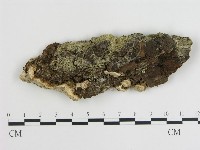 登錄號:F0013963藏品圖，第1張