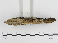 登錄號:F0013963藏品圖，第3張