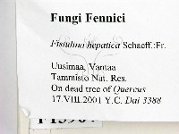 登錄號:F0013964藏品圖，第2張