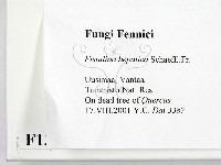 登錄號:F0013965藏品圖，第2張