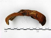 登錄號:F0013965藏品圖，第3張