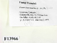 登錄號:F0013966藏品圖，第2張