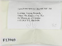 登錄號:F0013969藏品圖，第2張