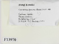 登錄號:F0013970藏品圖，第2張