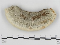 登錄號:F0013970藏品圖，第3張