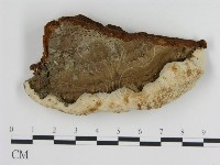 登錄號:F0013971藏品圖，第1張