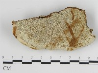 登錄號:F0013971藏品圖，第3張