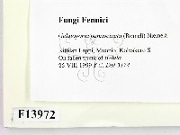 登錄號:F0013972藏品圖，第2張