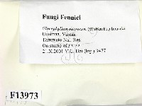 登錄號:F0013973藏品圖，第2張