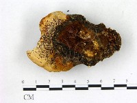 登錄號:F0013973藏品圖，第3張