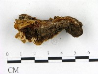 登錄號:F0013974藏品圖，第3張