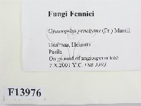 登錄號:F0013976藏品圖，第2張