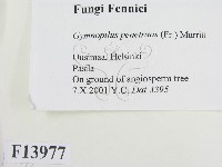 登錄號:F0013977藏品圖，第2張