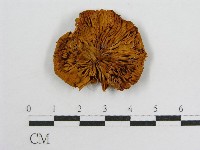 登錄號:F0013977藏品圖，第1張