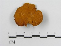 登錄號:F0013977藏品圖，第3張