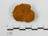 登錄號:F0013977藏品圖，第4張