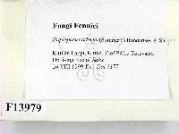 登錄號:F0013979藏品圖，第2張