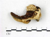 登錄號:F0013979藏品圖，第1張