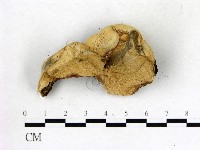 登錄號:F0013979藏品圖，第3張